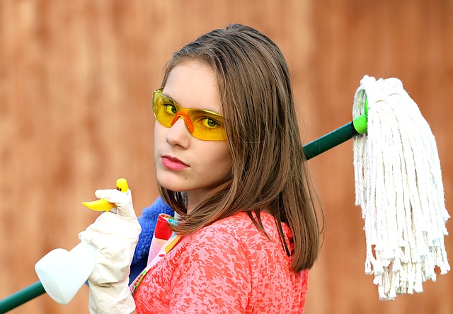 mop.jpg
